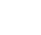 ICSS logo